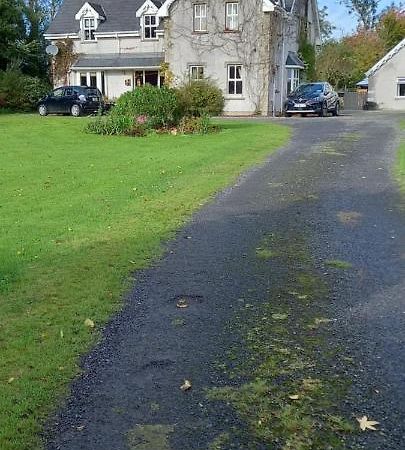Large Family Home In Wexford Marys B&B Enniscorthy Eksteriør billede