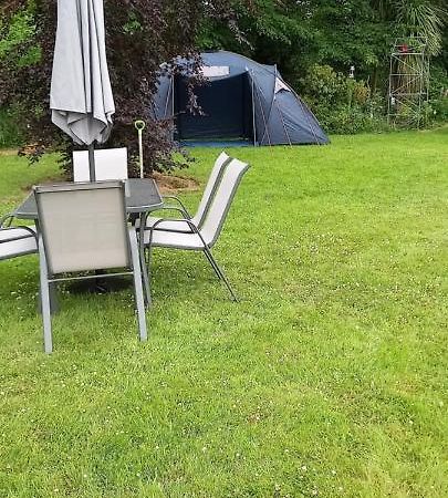 Large Family Home In Wexford Marys B&B Enniscorthy Eksteriør billede