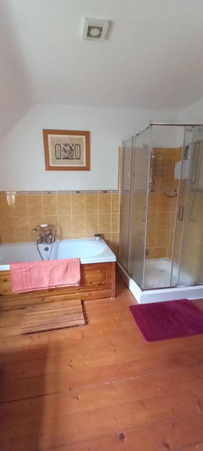 Large Family Home In Wexford Marys B&B Enniscorthy Eksteriør billede