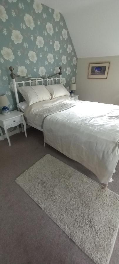 Large Family Home In Wexford Marys B&B Enniscorthy Eksteriør billede