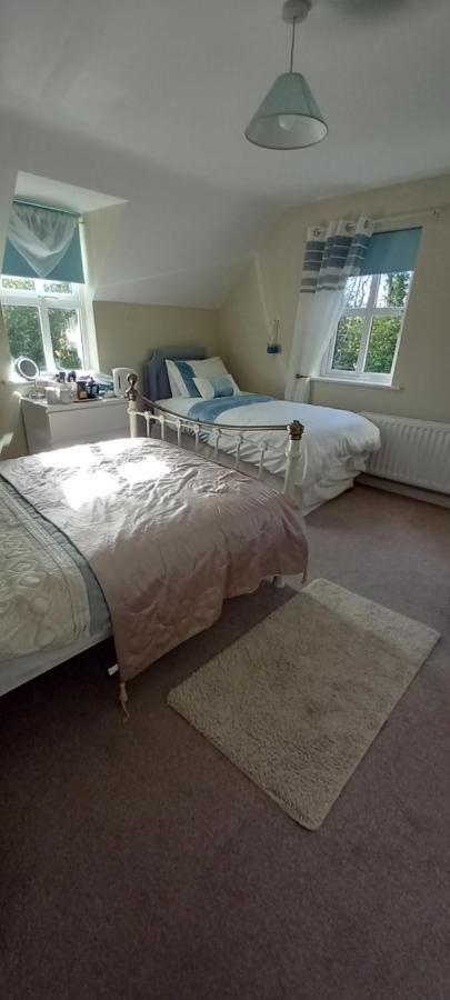 Large Family Home In Wexford Marys B&B Enniscorthy Eksteriør billede