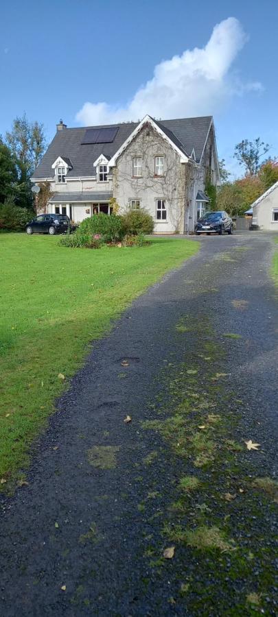 Large Family Home In Wexford Marys B&B Enniscorthy Eksteriør billede