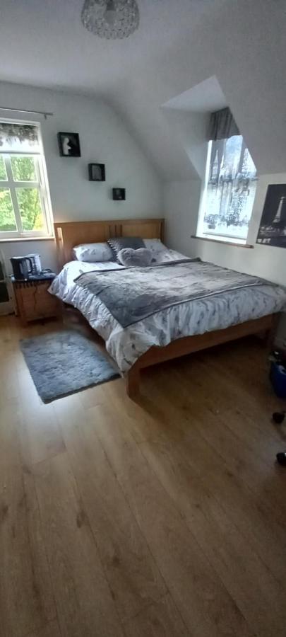 Large Family Home In Wexford Marys B&B Enniscorthy Eksteriør billede