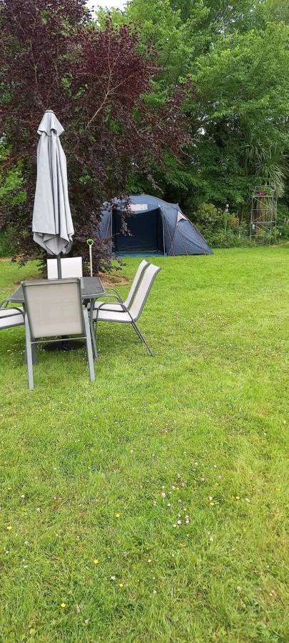 Large Family Home In Wexford Marys B&B Enniscorthy Eksteriør billede
