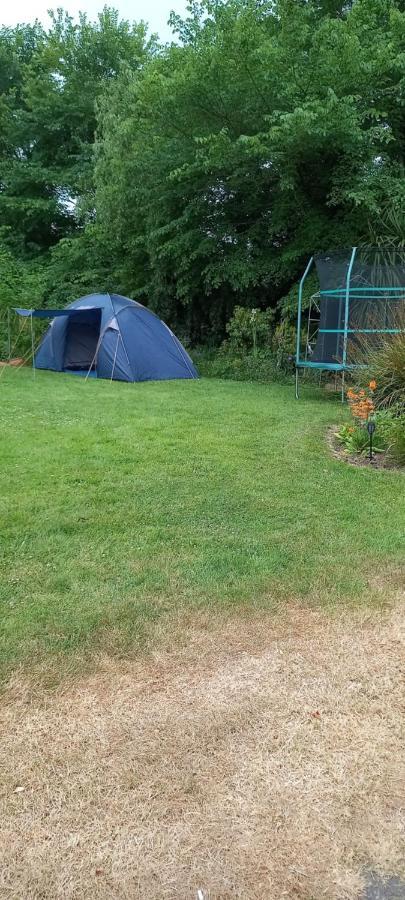 Large Family Home In Wexford Marys B&B Enniscorthy Eksteriør billede