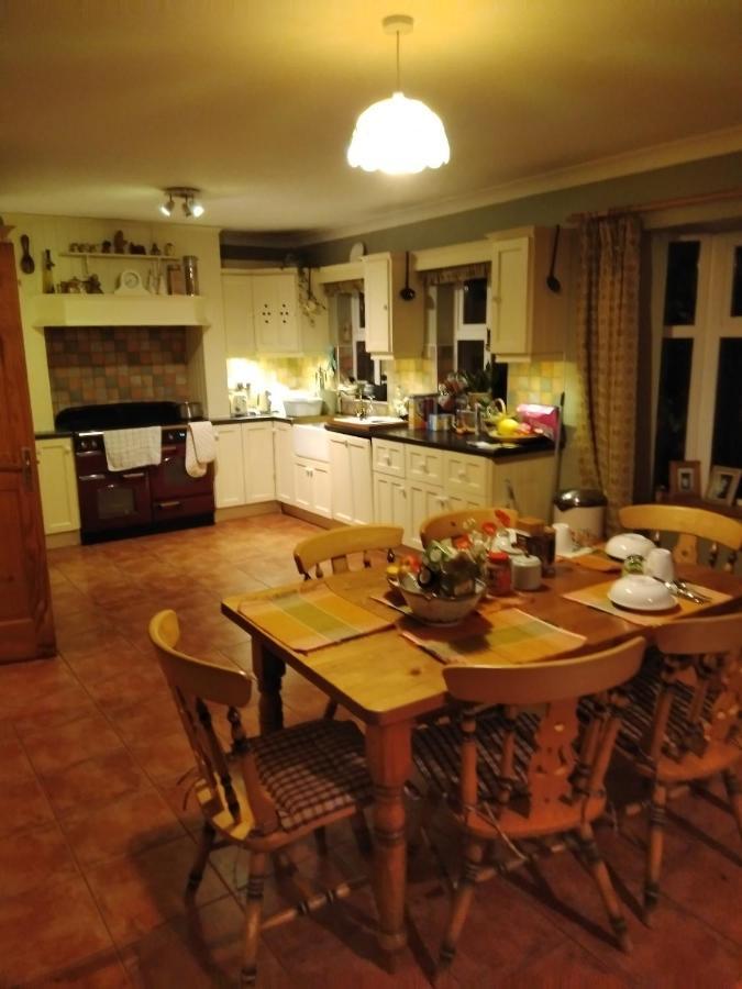 Large Family Home In Wexford Marys B&B Enniscorthy Eksteriør billede